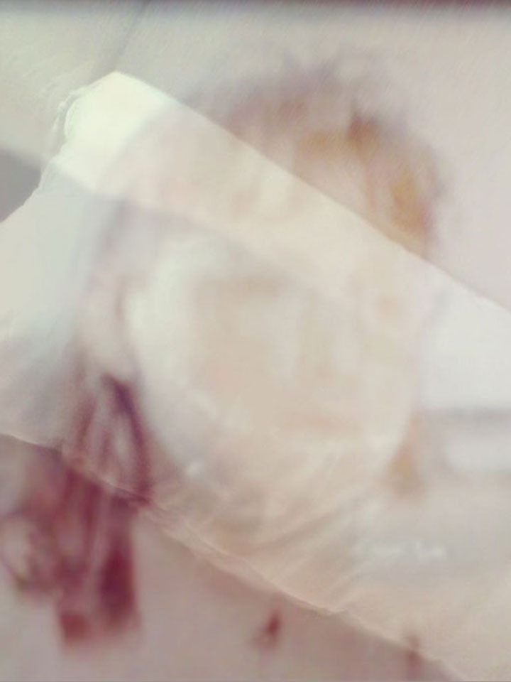 Vortrag_transgeneratives_trauma