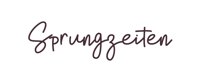 inneres_kind_sprung