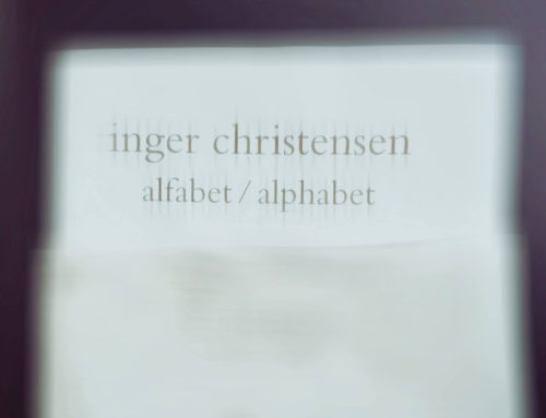 Lava und die Weltbezeugungskraft von Inger Christensen